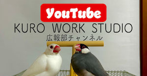 新着情報　Youtube